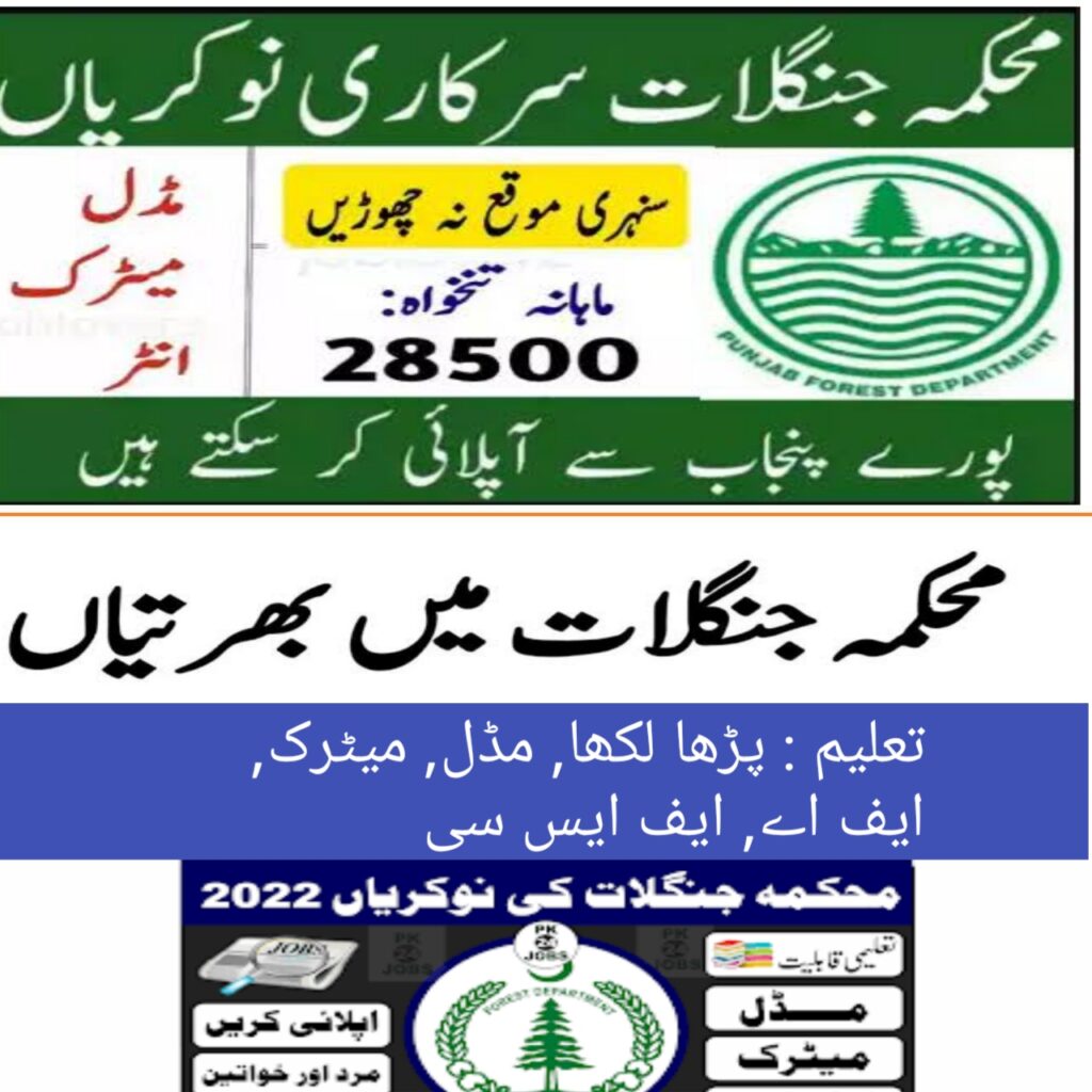 Forest Department KPK Jobs 2022