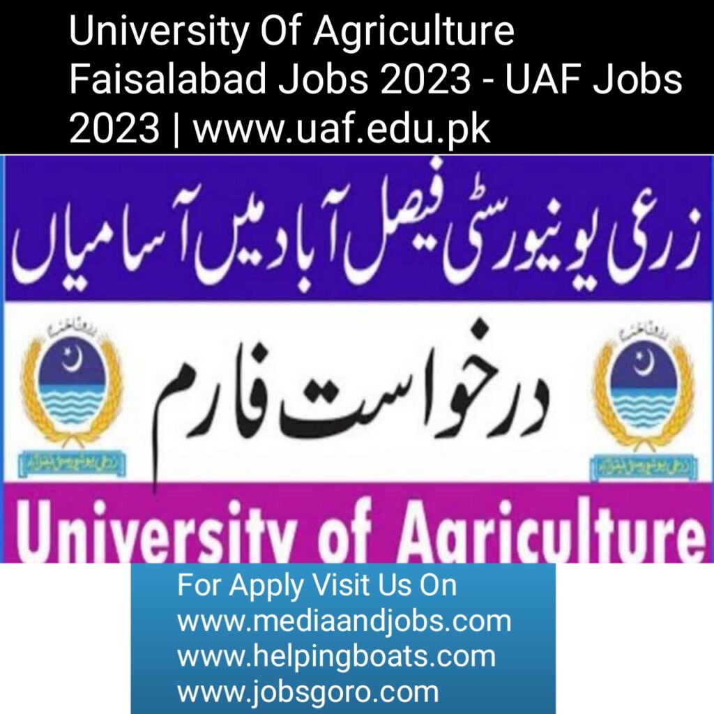 University Of Agriculture Faisalabad Jobs 2023 - UAF Jobs 2023 | www.uaf.edu.pk