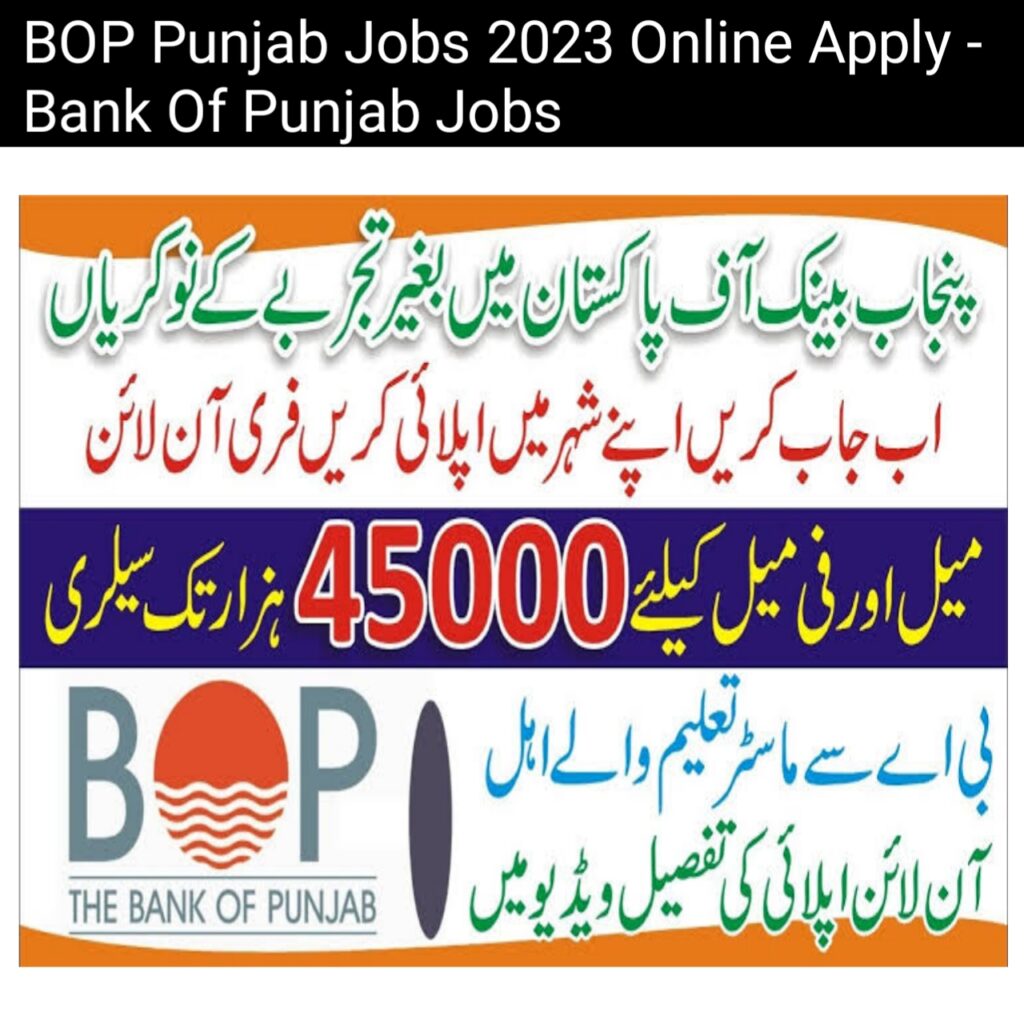 BOP Punjab Jobs 2023 