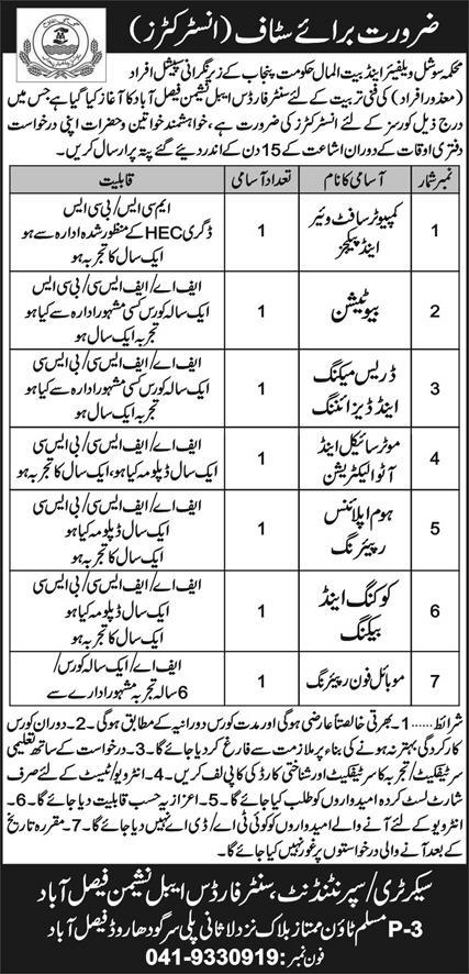 Social Welfare & Bait ul Maal Department  Jobs 2024