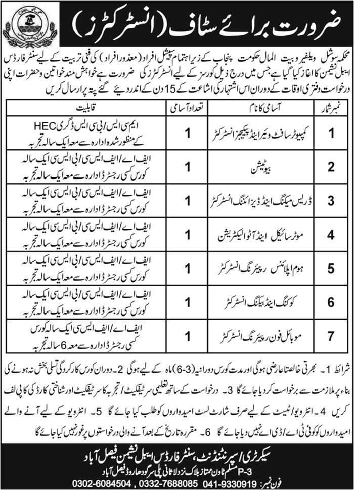 Social Welfare & Bait ul Maal Department Punjab Jobs 2024