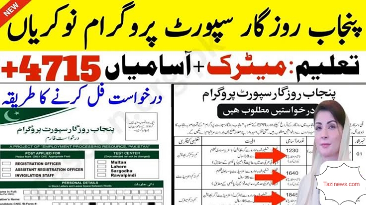 Punjab Rozgar Support Program Jobs 2025 – Apply Online Now!